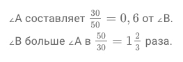 Пропорции