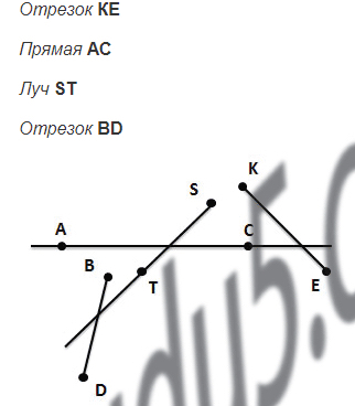 §4. Плоскость. Прямая. Луч