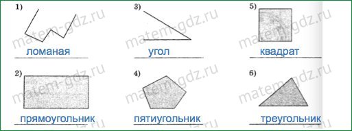 Рассмотри рисунок и заполни пропуски hl tz qs